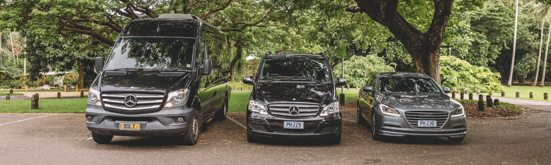 Out'n'back Limos Darwin Botanical Gardens